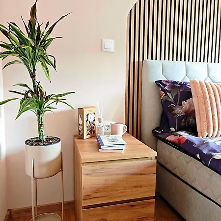 Brand New Luxury Citycenter With Free Parking * Maribor